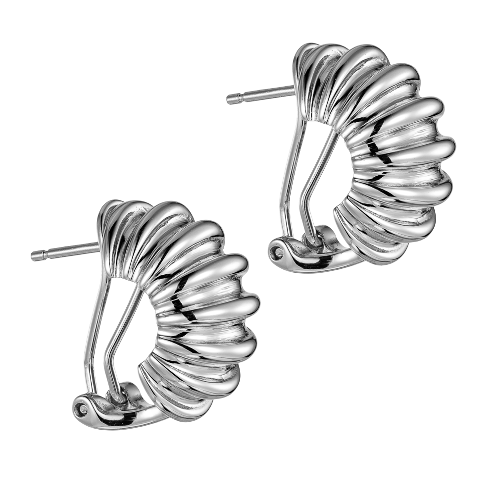 Γυναικεία Σκουλαρίκια από Ασήμι